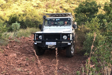 Birding at Waterberg Wilderness Reserve