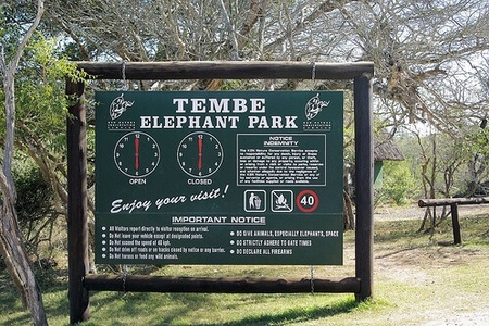 Tembe